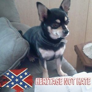 Meet your Posher, Tara